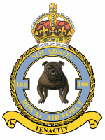 No. 166 Squadron RAF